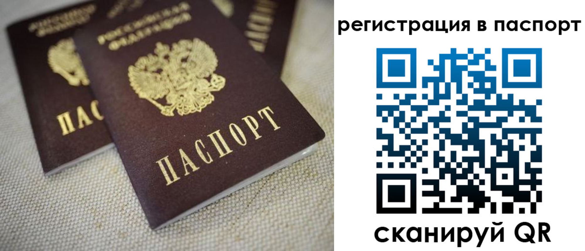 прописка гарантия в Полярных Зорях